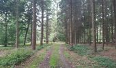 Trail Walking Esneux - arboretum . pisserotte . anc carrière . targnon . villers aux tours . chapelle simon . arboretum - Photo 10