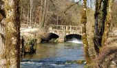 Tour Wandern Orquevaux - Orquevaux : Le cul du cerf - Photo 2