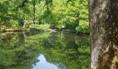 Tocht Stappen Poigny-la-Forêt - poigny - Photo 1