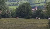 Tocht Stappen Beure - mercureau - fontain - arguel - Photo 9