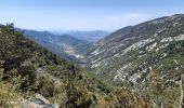 Randonnée Marche Beaumont-du-Ventoux - Mont Serein Col du Comte - Photo 2