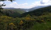 Randonnée Marche Villefort - Lac Villefort la Garde Guerin, lac de Villefort.(31-05-2020) - Photo 4