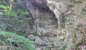 Trail Walking Cognin-les-Gorges - Gorges de Nan, Malleval - Photo 2