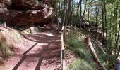 Randonnée Marche Münchweiler an der Rodalb - Felsenwald - Photo 1