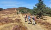 Tour Wandern Pont de Montvert - Sud Mont Lozère - arsel du pt de montvert a bedoues - Photo 14