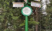 Trail Walking Saint-Nabor - boucle st nabor - Mt ste Odile  - Photo 6