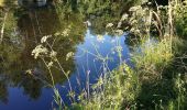 Tour Zu Fuß Gemeinde Gmünd - Themenweg MARIENkäferWEG - Photo 7