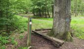 Trail Horseback riding Falck - Falck - Forêt de la Houve - Photo 14