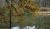 Trail Walking Boulaide - Boulaide - Photo 5