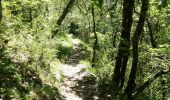 Percorso Marcia Châtillon-en-Diois - Les Cabanes de Châtillon (Glandasse) - Photo 5