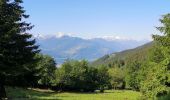 Trail Nordic walking Arbaz - Anzère par les Evouettes  - Photo 2