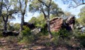 Randonnée Marche Les Mayons - Sur les hauteurs des Mayons - Photo 5