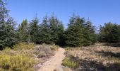 Tour Wandern Mérindol - Les gorges de regallon à partir de Merinol - Photo 15