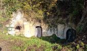 Excursión Senderismo Mazangé - Bonaventure - Moulin de la Loupe - Photo 15