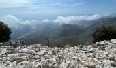 Excursión Senderismo Castillon - Castillon : Mt Ours - Photo 10