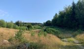 Trail Walking La Roche-en-Ardenne - Autour de Samrée  - Photo 5