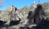 Tocht Te voet Barcelona - Del solell a l'obaga. Collserola - Photo 9