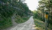 Tour Wandern Marignac-en-Diois - Marignac - But de l'Aiglette - Col de Vassieux - Photo 16