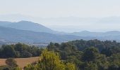 Tour Wandern Beaumont-de-Pertuis - Beaumont de  Pertuis - La Bastide des Jourdans - Photo 2