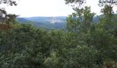 Tocht Stappen Dabo - Haselbourg et les maisons troglodytiques - Photo 4