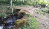 Trail Walking La Tour-d'Auvergne - Natzy - Photo 4