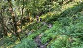 Trail Walking Metzeral - Lac du Schiessrothried - Marcairie du Frankenthal- Retour - Photo 3