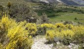 Excursión Senderismo La Bastide - La Bastide Bargème  - Photo 3