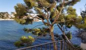 Tour Wandern Bandol - Bandol 3 - Photo 2