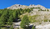 Tour Wandern Montgenèvre - Montgenevre  - Photo 10