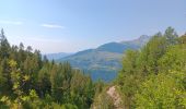 Trail Walking Puy-Saint-Eusèbe - canal de reyssas jusqu'aux Touisses / retour par le GR Serre-Ponçon via ravin de la pisse  - Photo 18