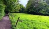 Tour Wandern Esneux - esneux . ham . roche aux faucons par les petits chemins  - Photo 13