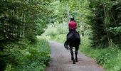 Trail Horseback riding Gesves - FAULX-LES TOMBES - CIRCUIT H - CAVALIER - BALISÉ - Photo 1