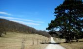 Tour Zu Fuß Gemeinde Kaltenleutgeben - SISI Rundwanderweg - Photo 7