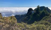 Trail Walking São Roque do Faial - Pico Ruibo - Photo 14