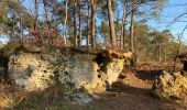 Trail Walking Fontainebleau - Fait 02/23 TB  Malmontagne + Haut Mont +  Long Rocher  - Photo 5