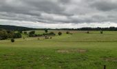 Tocht Stappen Trois-Ponts - autour de Wannes et Henimont - Photo 15