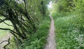 Trail Walking Cerfontaine - Czrfontaine et Lac  - Photo 5