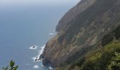 Tocht Stappen Machico - Madère : du tunnel de Caniçal à Porto da Cruz - aller en bus - Photo 12