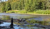 Tour Wandern Vresse-sur-Semois - rando laforêt 6/08/2020 - Photo 10