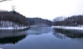 Tour Zu Fuß Wipperfürth - Rundwanderweg A7 Neyetalsperre - Photo 10