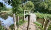 Tocht Stappen Pelt - De Wulp Hageven Grote Heide 24 km - Photo 19