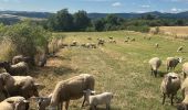 Trail Walking Colombier-le-Vieux - Colombier le Vieux Daronne Azur - Photo 3