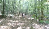 Trail Walking La Grande-Verrière - 190919-Morvan-2 - Photo 1