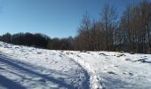 Trail Walking Sewen - Sewen chalet du Graber - Photo 6