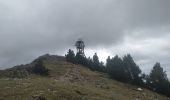 Randonnée Marche Fontaine - Le Moucherotte par le Vallon des Forges et le chemin de crête - Photo 1