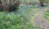 Tour Wandern Canteleu - Cavée du May - chemin de la Bécasse  - Photo 2