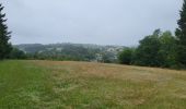 Trail Walking Vielsalm - Vielsalm 270625 - Photo 14