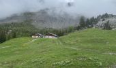 Tocht Stappen Passy - Plaine Joux, Barnus, le lac vert - Photo 5