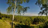 Tocht Stappen Arbonne-la-Forêt - plaine de Chanfroy  - Photo 3