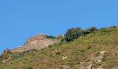 Tour Wandern Collioure - les Batteries Taillefer la Madeloc_T - Photo 7